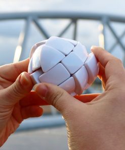 Morph’s Egg