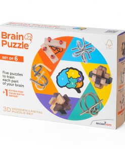 Brain Puzzle Set of 6