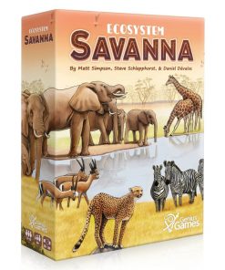 Alternative view of Ecosystem: Savanna