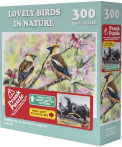 Doing Things Birds Prank Puzzle 300pcs
