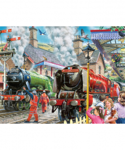 Checking the Line 1000 Piece Puzzle