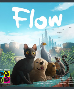 Flow