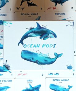 Alternative view of Ocean Pods