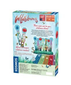 Alternative view of Wildblooms