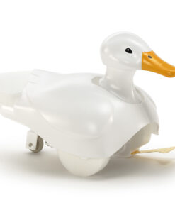 Alternative view of Walking & Swimming Duck