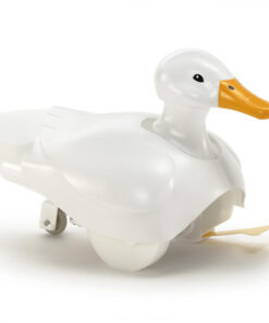 Walking & Swimming Duck