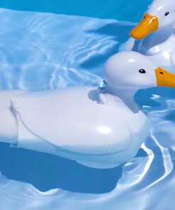 Walking & Swimming Duck - Image 4