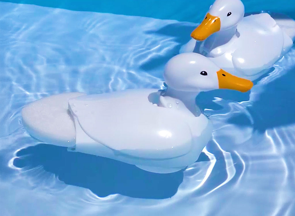 Walking & Swimming Duck - Image 4
