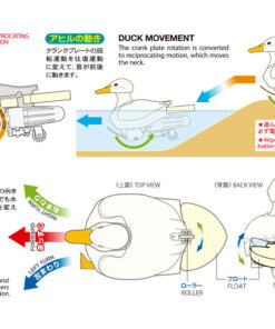 Walking & Swimming Duck - Image 7