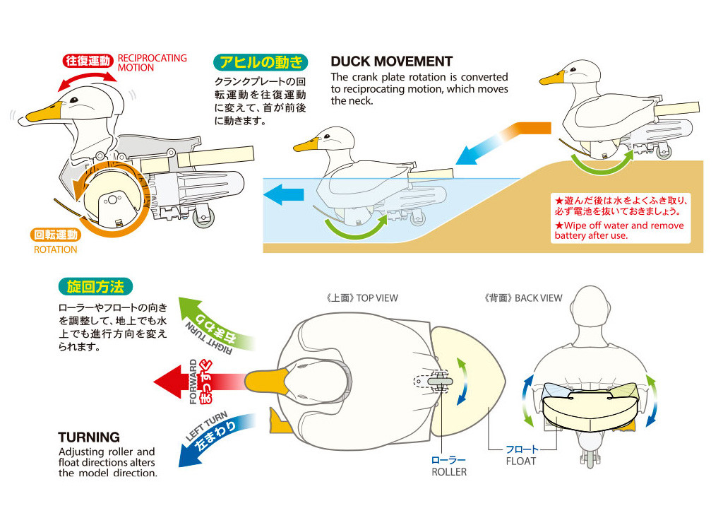 Walking & Swimming Duck - Image 7