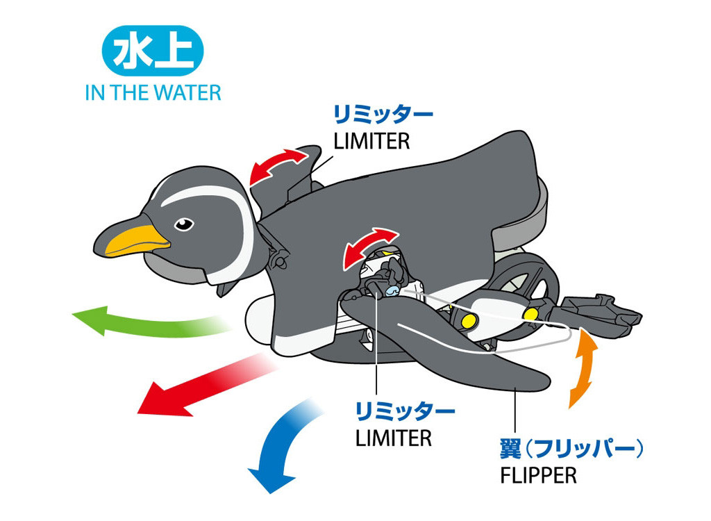 Walking & Swimming Penguin - Image 8